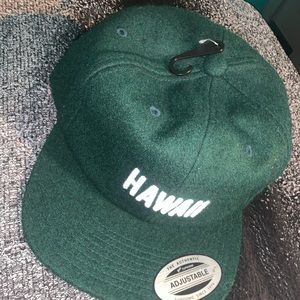 Hawaii Hurley Nike hat